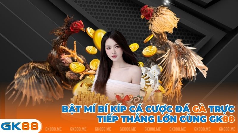 đá gà trực tiếp gk88